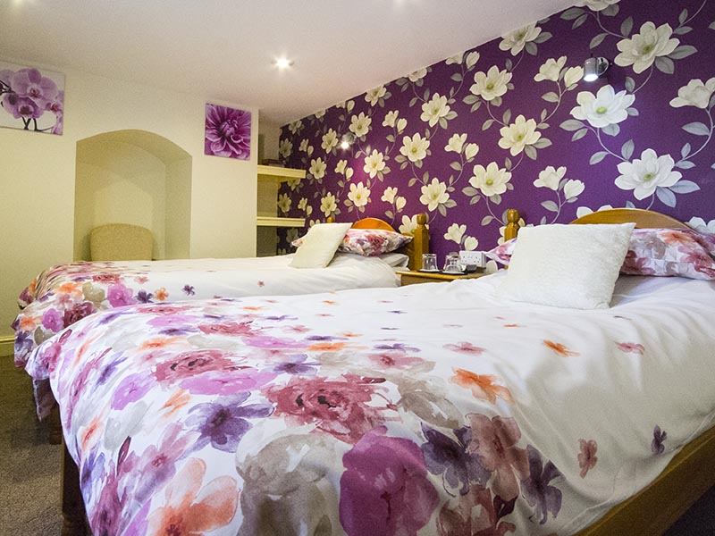 Plas Bwlch Bed & Breakfast