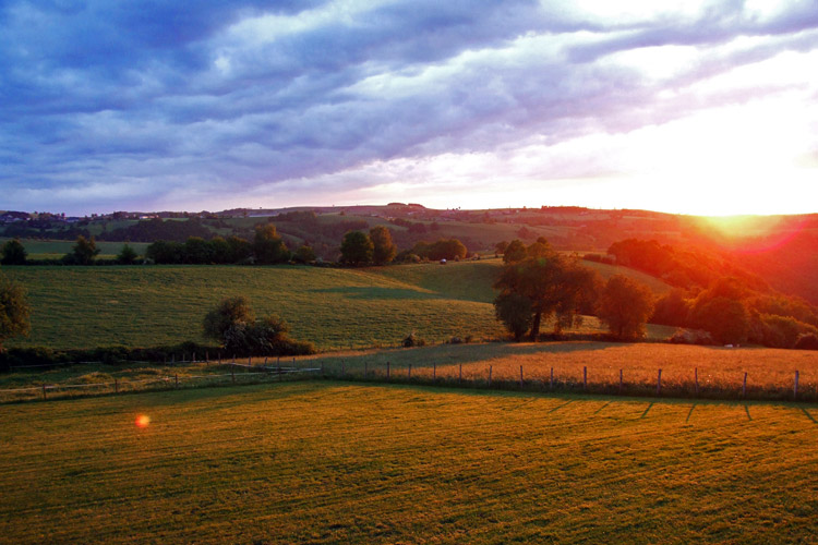 B&B / Self-Catering Gites in SW France