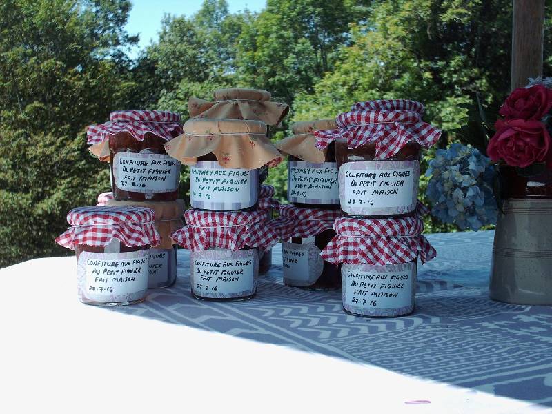 Le Petit Figuier home produce