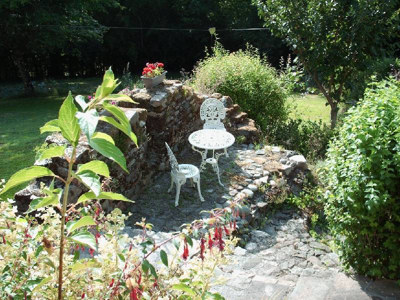 Le Petit Figuier the garden