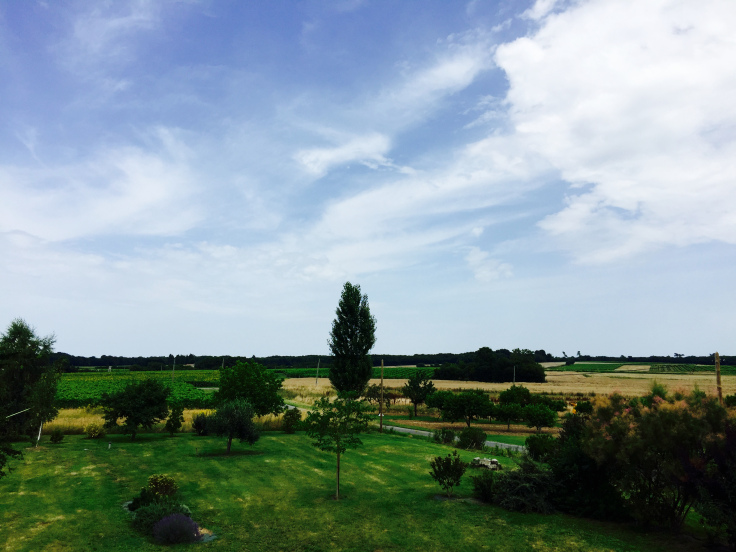 View from the bedroom