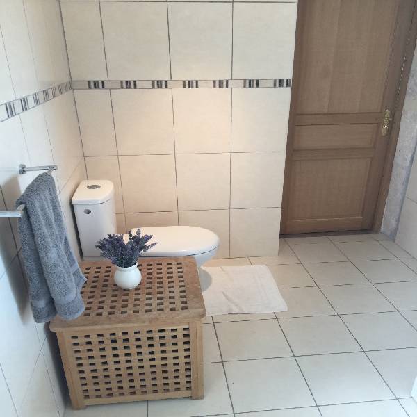 Chez les Bons, Bathroom 2