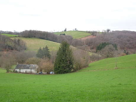 Bed & Breakfast Accommodation