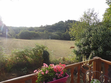 Bed & Breakfast Accommodation