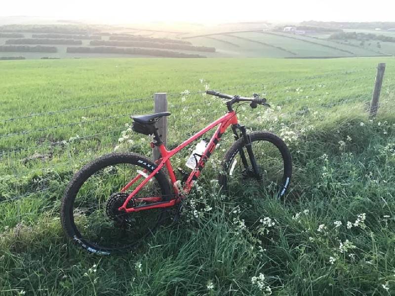 Self catering accommodation in a beautiful garden near the historic ridgeway